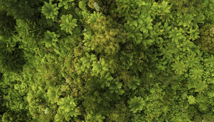 63d83203f127d166ceddf341_Screenshot-2023-01-30-at-4.09.09-PM